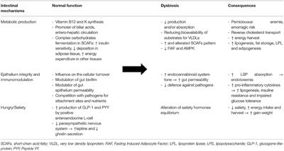 Gut Microbiota and Obesity in Adults and Children: The State of the Art